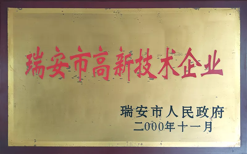 瑞安市高新技术企业2000年