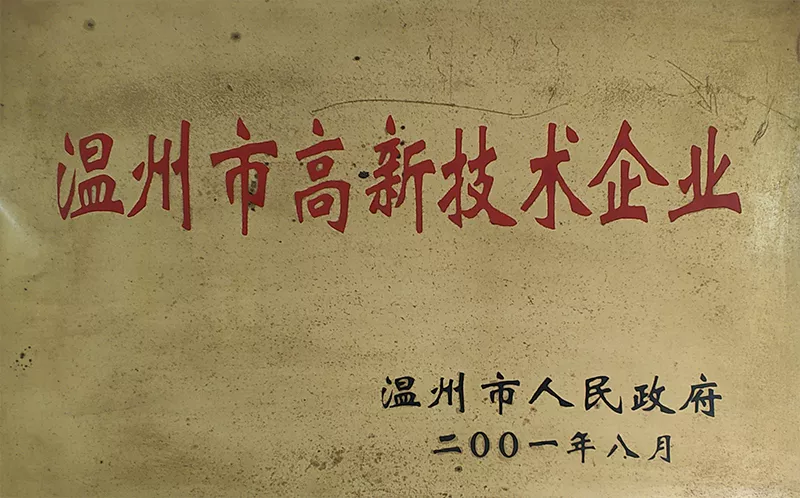温州市高新技术企业2001年